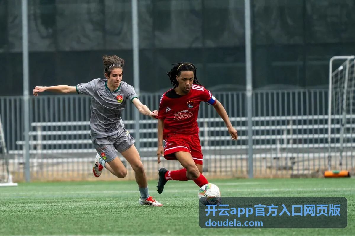 开云app官方入口网页版会员权益与等级说明封面