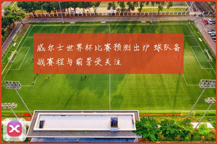 威尔士世界杯比赛预测出炉 球队备战赛程与前景受关注