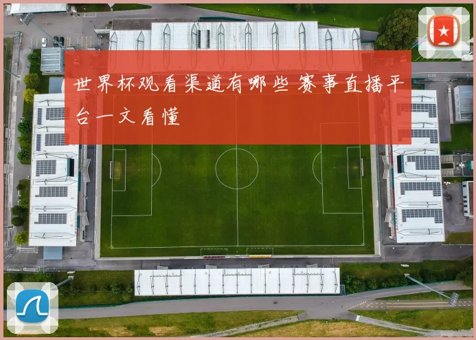 世界杯观看渠道有哪些 赛事直播平台一文看懂