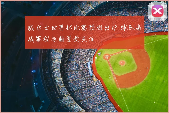 威尔士世界杯比赛预测出炉 球队备战赛程与前景受关注