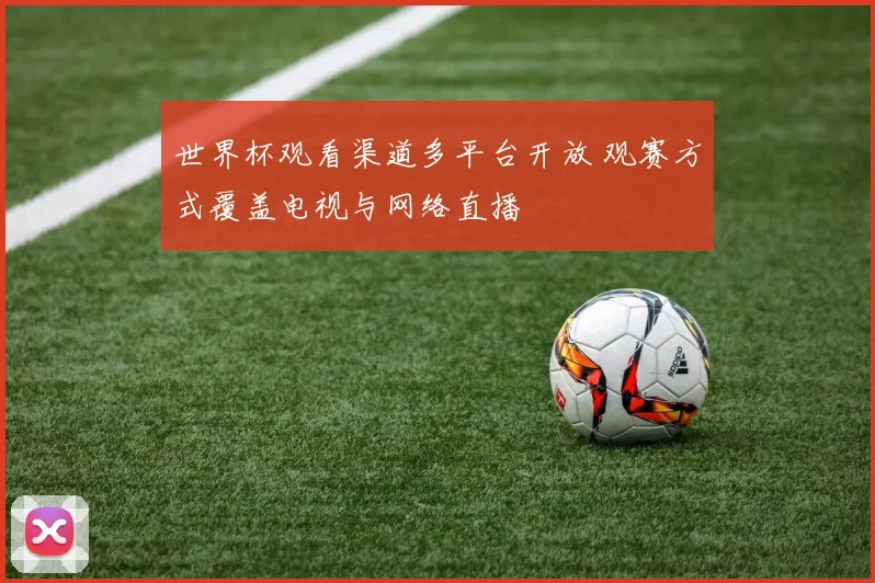 世界杯观看渠道多平台开放 观赛方式覆盖电视与网络直播
