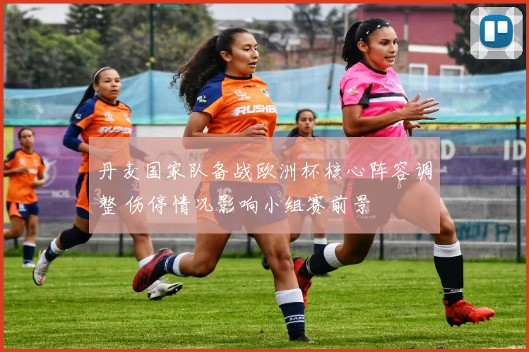 丹麦国家队备战欧洲杯核心阵容调整 伤停情况影响小组赛前景